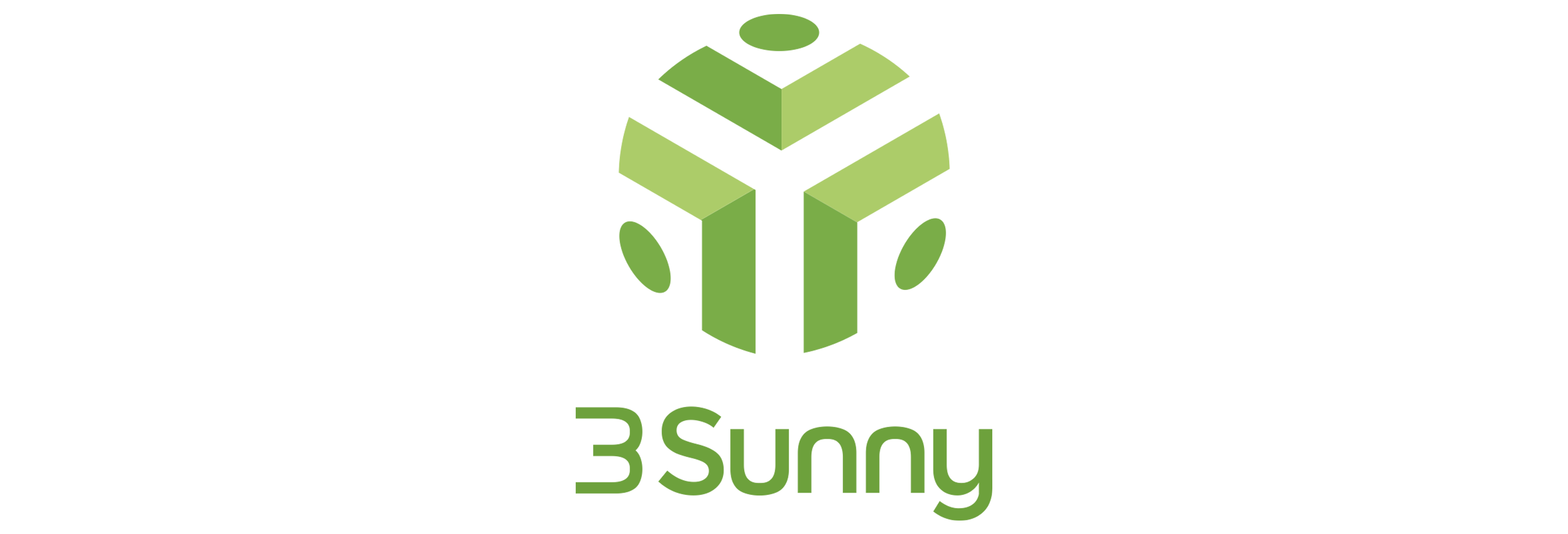 3sunny