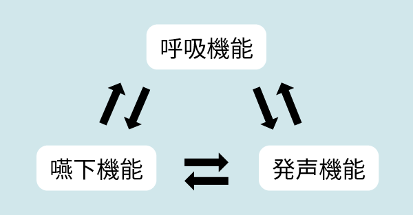 呼吸・嚥下・発声機能のバランス