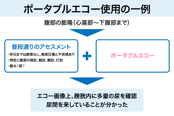 ポータブルエコー使用の一例