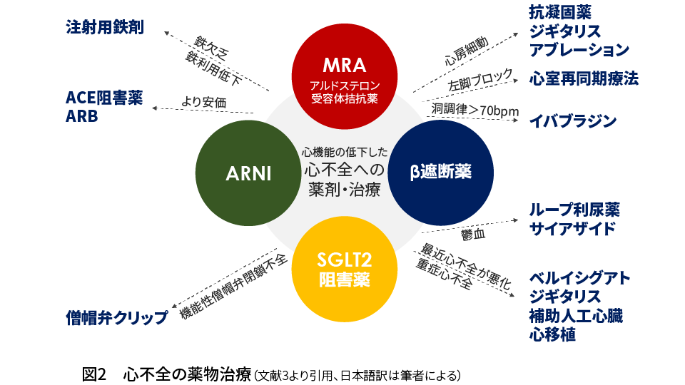 心不全の薬物療法