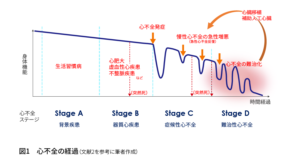 心不全の経過