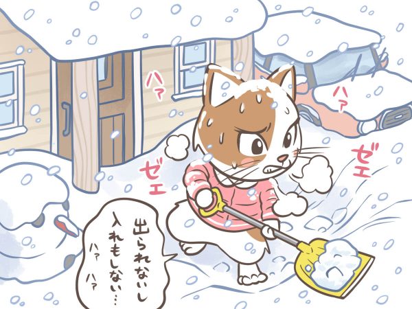 雪が多い地域での訪問看護