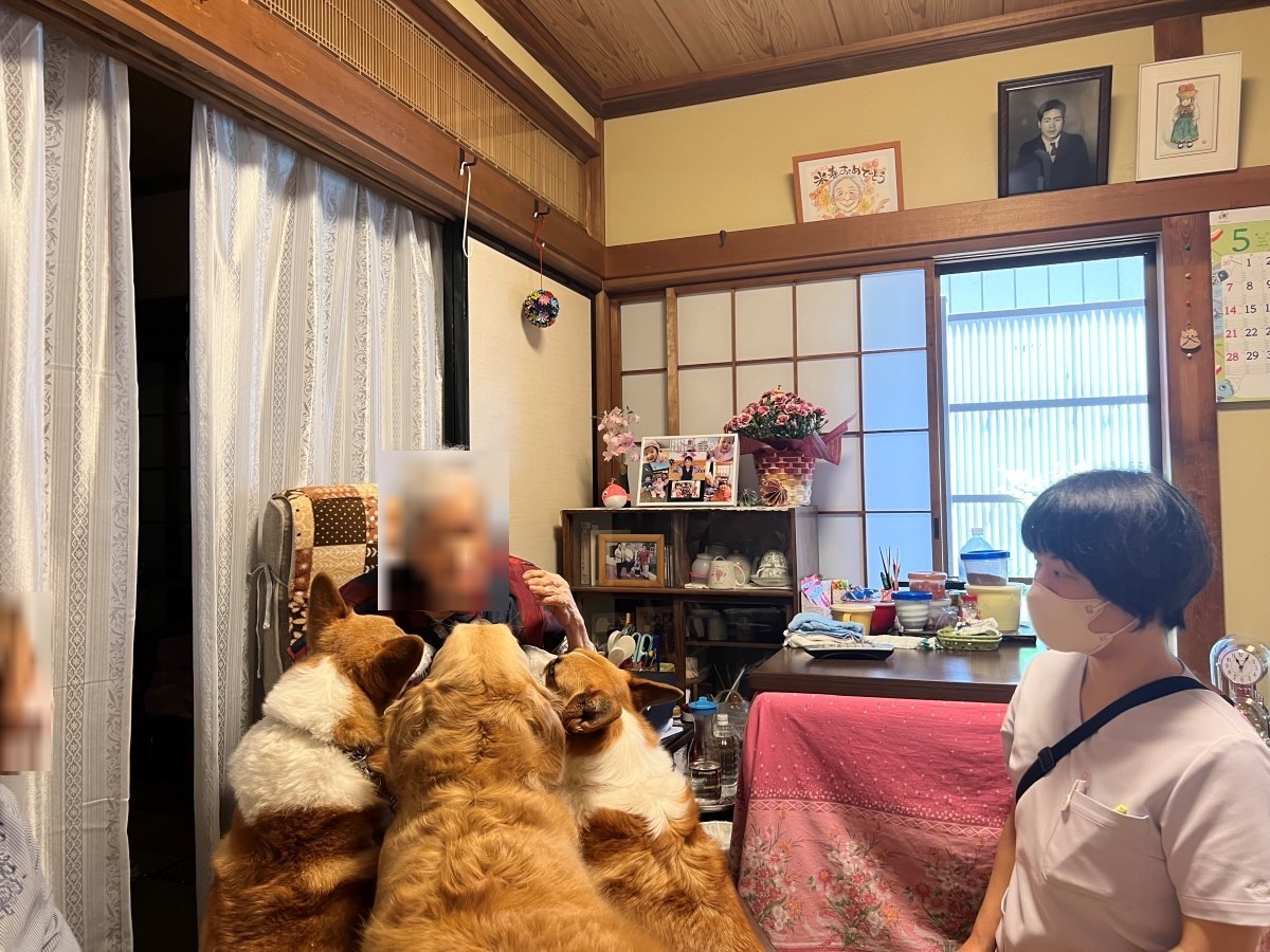 犬同行往診の吉住先生