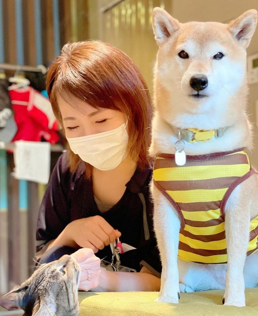 大矢根 尚子（おおやね なおこ）