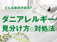 ダニアレルギーはどんな症状が出る？見分け方と対処法・治療法
