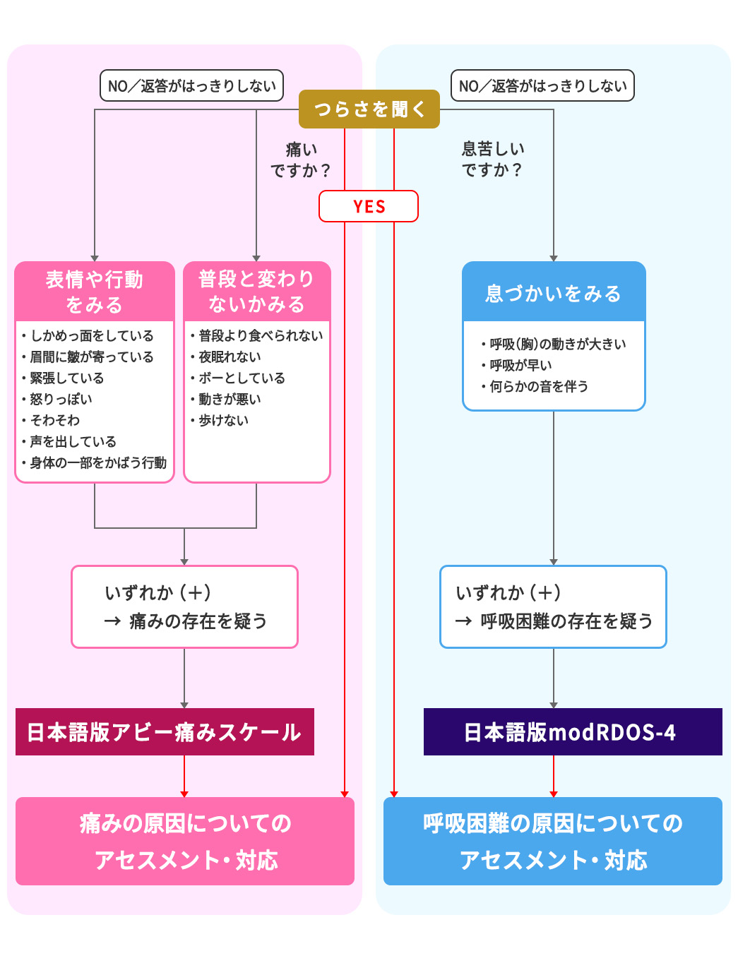 重度～末期認知症の人の苦痛評価プロトコール（改定案）