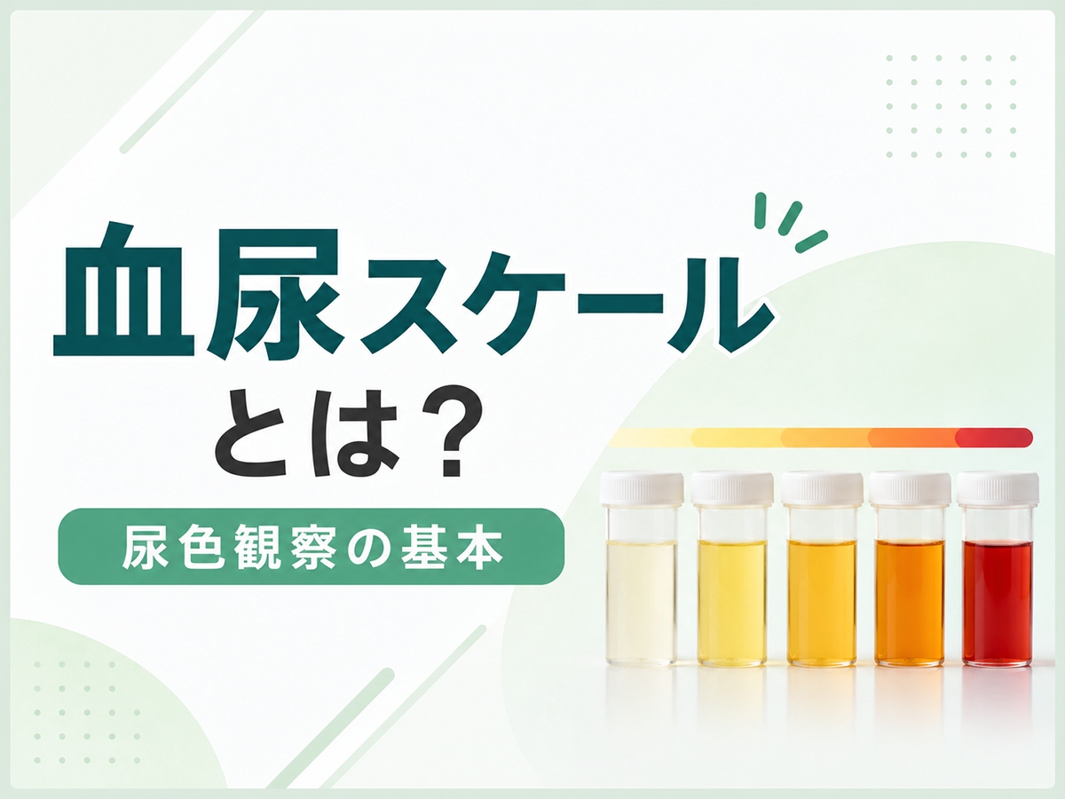 血尿スケールとは？尿色観察の基本