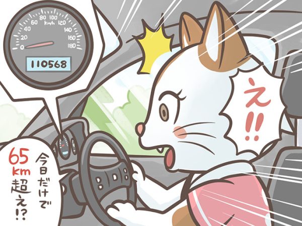 1日の走行距離にびっくり